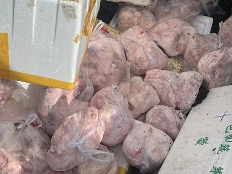 400kg thịt heo không rõ nguồn gốc ở Đắk Lắk bị tiêu hủy