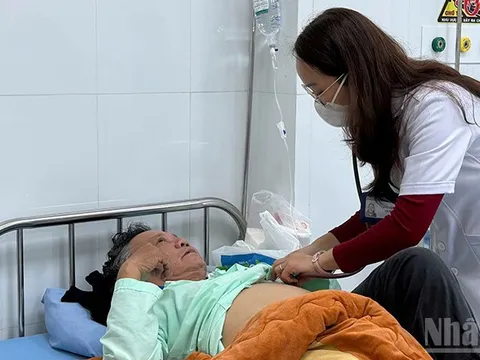Lâm Đồng: Liên tiếp ca ngộ độc nấm rừng, chuyên gia khuyến cáo không tự nếm thử các loại nấm chưa được kiểm chứng