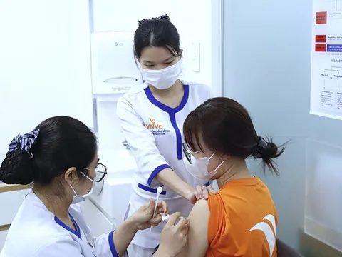 Nhiều trẻ bị chó cắn nghiêm trọng dịp hè