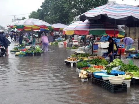 Phòng chống ngộ độc thực phẩm trong mùa hè và mùa bão, lụt