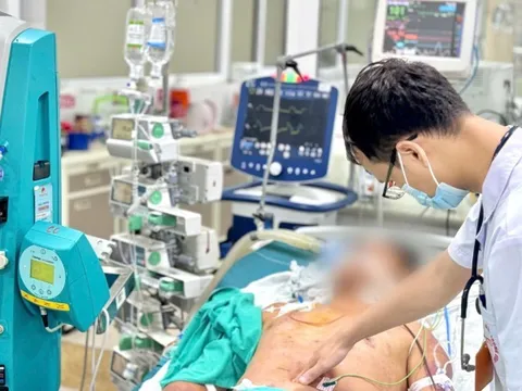 Ba ngày sau khi ăn tiết canh, người đàn ông tím toàn thân do liên cầu lợn