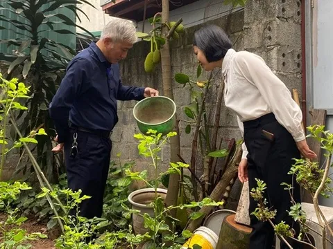 Hà Nội: Số ca mắc sốt xuất huyết tăng