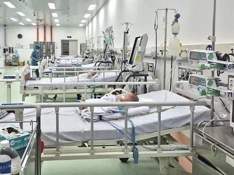 TP Hồ Chí Minh phòng, chống sốt xuất huyết trong cao điểm mùa mưa
