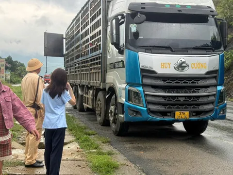 Phú Thọ: Phát hiện và tiêu hủy gần 200 con lợn nhiễm virus Dịch tả lợn Châu Phi