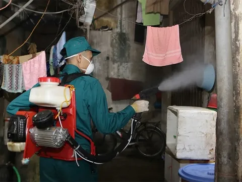 Dự báo gia tăng ca mắc sốt xuất huyết ở Hà Nội