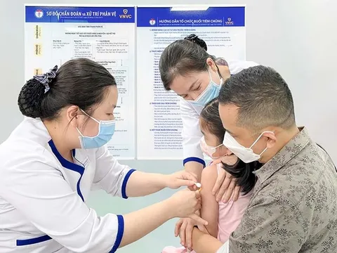 Hà Nội: Số ca mắc sốt xuất huyết tăng mạnh