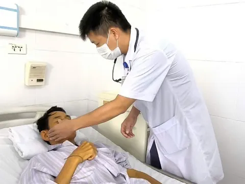 Suy gan, suy thận cấp do xoắn khuẩn Leptospira xâm nhập từ vết thương nhỏ