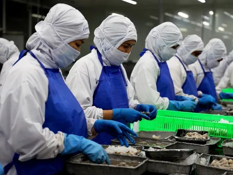 Từ lợi thế FTA đến sức ép phòng vệ: Phát huy sức mạnh ‘bó đũa’