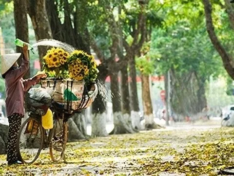 Thời tiết hôm nay (7-8): Miền Bắc giảm mưa, nhiệt độ cao nhất 34 độ C