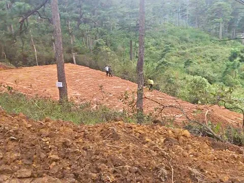 Lâm Đồng: Đề nghị Công an điều tra, làm rõ vụ cán bộ quản lý, bảo vệ rừng bị đe dọa