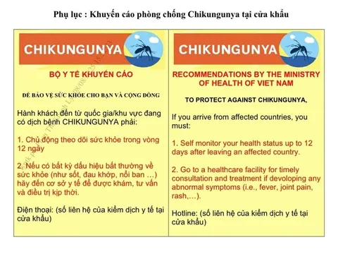 Bộ Y tế đề nghị các tỉnh, thành phố tăng cường phòng, chống bệnh chikungunya