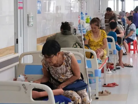 Cần Thơ: Chủ động ứng phó dịch sốt xuất huyết