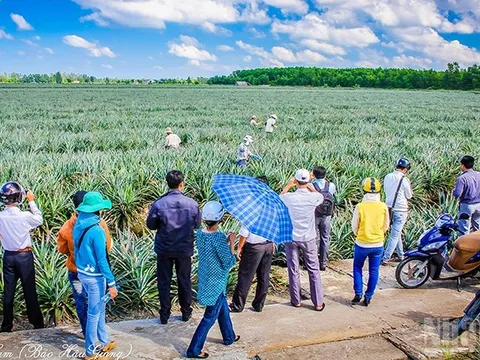 Khai thác tiềm năng du lịch sinh thái