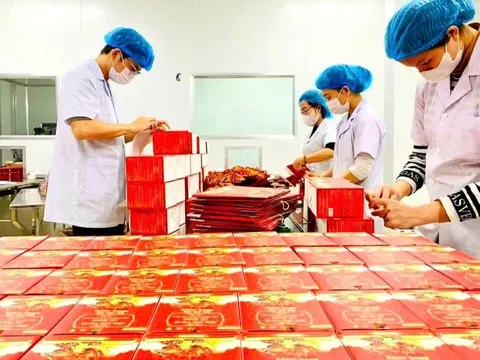 Công ty cổ phần Thương mại phát triển Châu Anh: Hành trình biến cây Shachi từ nương rẫy đến tay người tiêu dùng