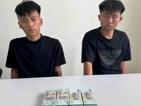 Đà Nẵng bắt hai đối tượng người nước ngoài sau 6 giờ gây án