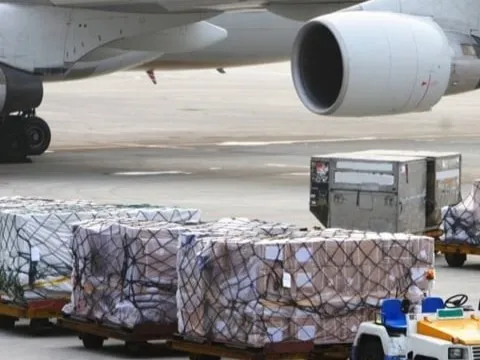 Truy tố các bị can trong đường dây vận chuyển trái phép hàng hóa từ Nhật về Việt Nam