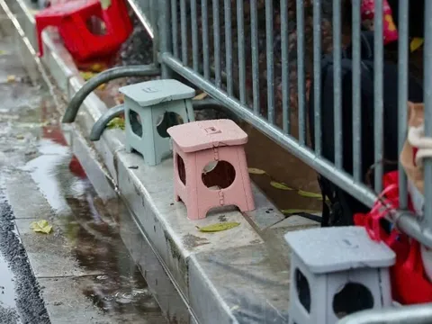 Công an Hà Nội xử lý nghiêm các hành vi trục lợi tại sự kiện A80