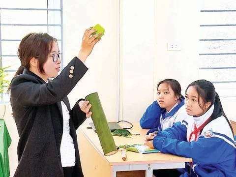 Đổi mới hướng nghiệp, không lỡ nhịp năm học mới
