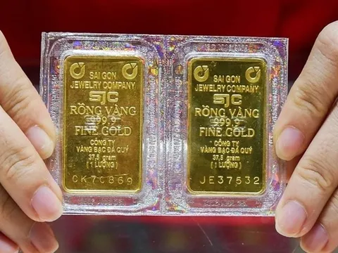 Giá vàng hôm nay (8-9): Neo ở đỉnh dốc