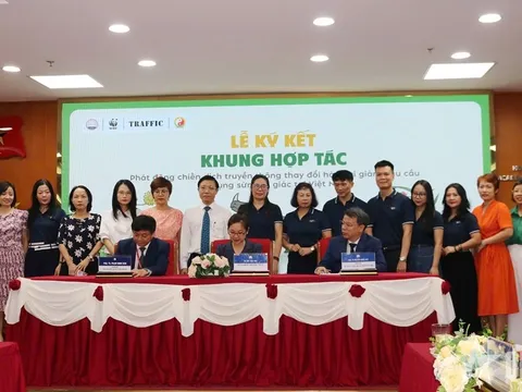 Kiến tạo tương lai y học cổ truyền bền vững, nói không với sừng tê giác