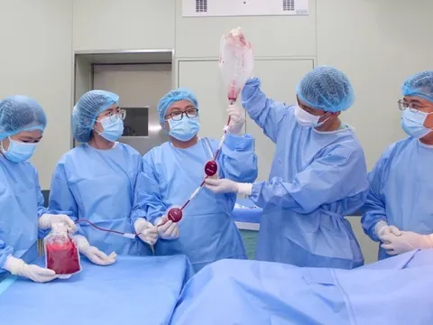 Bệnh viện Trung ương Huế: Lần đầu tiên ghép tế bào gốc tạo máu từ mẹ ruột, bất đồng nhóm máu thành công