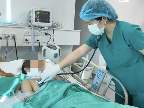Nguy cơ tử vong vì mắc bệnh dại từ chó nuôi trong nhà