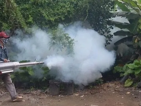 Ngành Y tế kêu gọi các địa phương, người dân chủ động ngăn chặn bệnh sốt xuất huyết