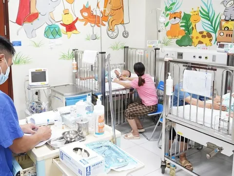Cách xử trí kịp thời khi trẻ bị ong đốt