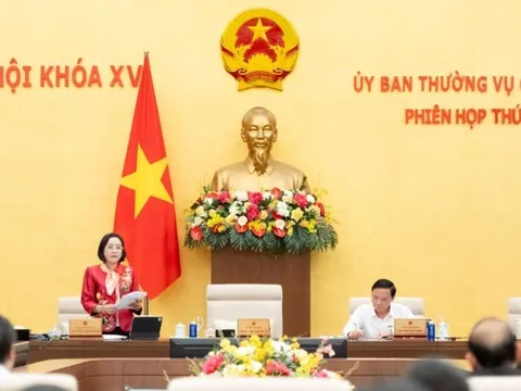 Thông qua Nghị quyết ban hành quy chế làm việc mẫu của Hội đồng nhân dân