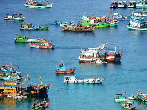 Doanh nghiệp thủy sản đồng hành cùng Chính phủ giữ vững uy tín và thị trường xuất khẩu