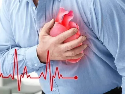 Stress và làm việc quá sức sẽ ảnh hưởng đến tim mạch
