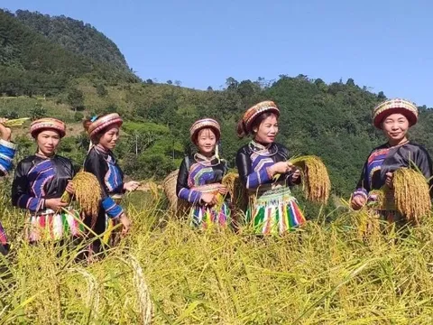 Phát huy vai trò tiên phong, gương mẫu và năng lực sáng tạo