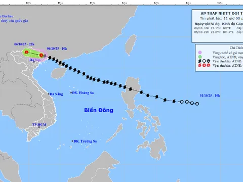 Chủ động ứng phó nguy cơ mưa lũ, lũ ống, lũ quét, sạt lở đất do ảnh hưởng của bão số 11