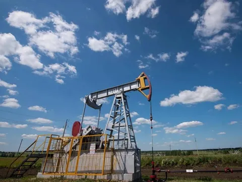 Giá xăng dầu hôm nay (8-10): OPEC+ thận trọng trước dự báo dư cung dầu toàn cầu