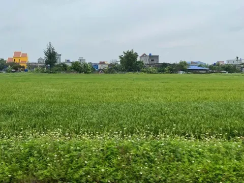 Sẽ có cơ chế thưởng khi bàn giao đất thu hồi trước thời hạn