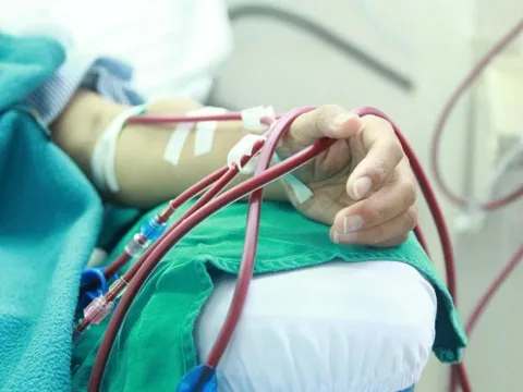 Nguy cơ suy thận trẻ hóa: Thói quen xấu bạn cần tránh