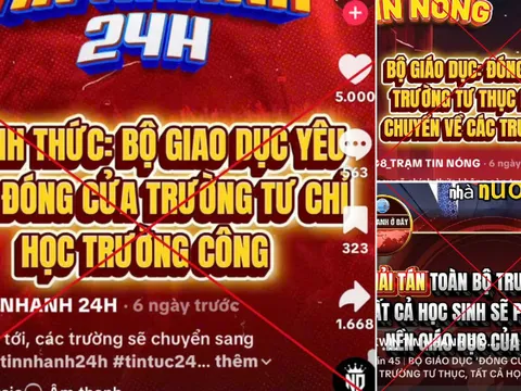 Bộ Giáo dục và Đào tạo cảnh báo tin giả về giải tán trường tư thục