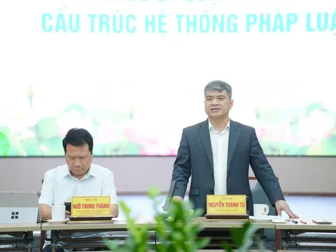 Đưa thể chế, pháp luật trở thành lợi thế cạnh tranh