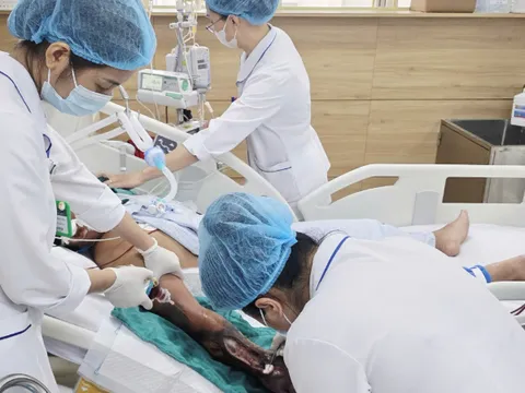Đắp thuốc chữa rắn cắn, bệnh nhân mất cơ hội "vàng" điều trị