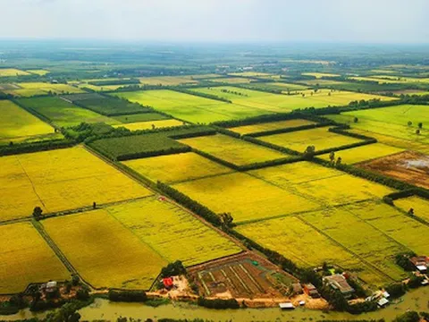 Chính phủ thông qua nội dung dự thảo về một số cơ chế, chính sách tháo gỡ khó khăn, vướng mắc trong thi hành Luật Đất đai