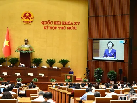 Kỳ họp thứ mười, Quốc hội khóa XV: Đề xuất cơ chế tuyển viên chức từ khu vực tư
