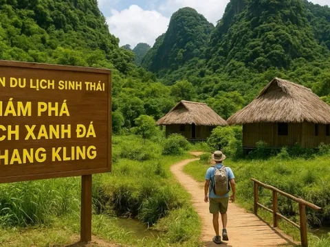 Lần đầu tiên, du khách được tham quan quần thể Bách xanh đá hàng trăm năm tuổi ở Phong Nha-Kẻ Bàng
