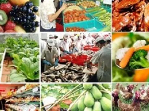 Đề xuất tăng mức xử phạt vi phạm về an toàn thực phẩm