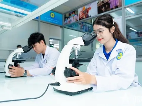 Các trường đại học phía Nam đạt thứ hạng cao trong bảng xếp hạng châu Á
