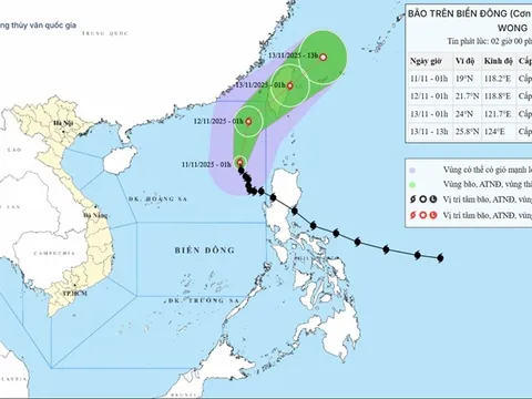 Thời tiết hôm nay (11-11): Bắc Bộ giảm mưa, bão số 14 giật cấp 15 trên Biển Đông