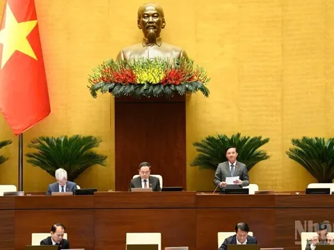 Bảo đảm hài hòa yêu cầu phòng ngừa tội phạm, tôn trọng và bảo vệ quyền con người