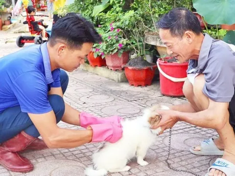 Việt Nam 75 người chết vì bệnh dại: Phòng ngừa để không còn ca tử vong vào 2030