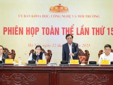 Rà soát kỹ việc phân loại và quản lý hệ thống trí tuệ nhân tạo theo rủi ro