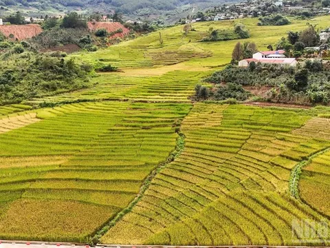 Quảng Ngãi gắn kết du lịch sinh thái và biển đảo