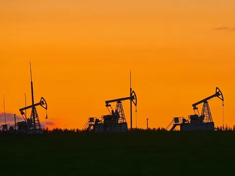 Giá xăng dầu hôm nay (13-11): Đảo chiều giảm mạnh